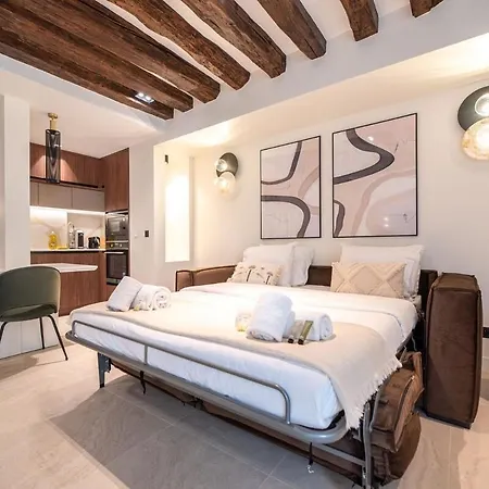 Luxury And Charm In Heart Of Place Des Vosges Lejlighed